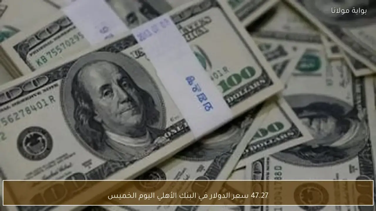 سعر جديد.. تحديثات صرف الدولار في البنك الأهلي مقابل الجنيه المصري اليوم